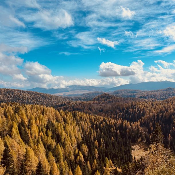 Foliage ad Asiago: i migliori luoghi dove ammirare i colori d’autunno