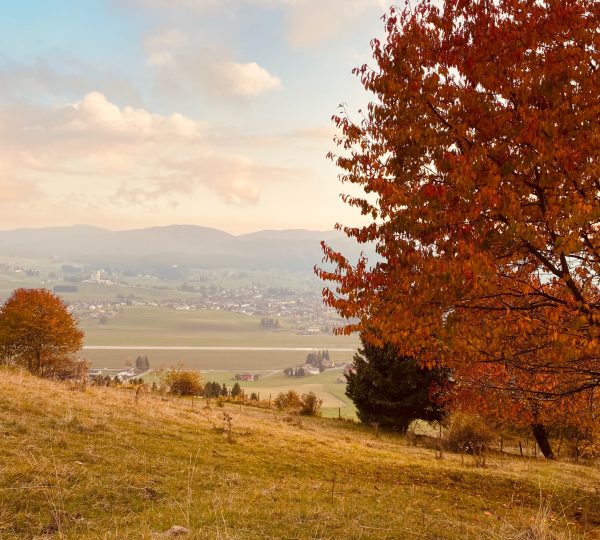 Eventi d'Autunno sull'Altopiano